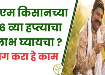 पीएम किसान