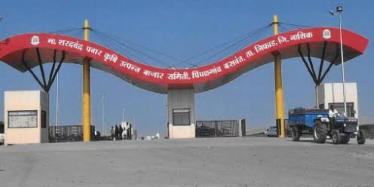 उत्तर महाराष्ट्रात पिंपळगाव बाजार समिती उत्पन्नात पहिल्या क्रमांकावर