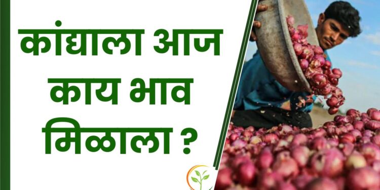 कांद्याला आज काय भाव मिळाला ? ; वाचा बाजारभाव
