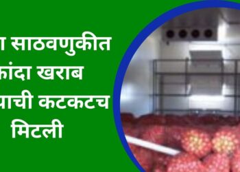 खुशखबर… आता साठवणुकीत कांदा खराब होण्याची कटकटच मिटली; काय आहे BARC, ‘इन्फ्राकूल’चे नवीन तंत्रज्ञान? जाणून घ्या 12 ते 15 जानेवारीदरम्यान ‘ॲग्रोवर्ल्ड’च्या पिंपळगाव बसवंत येथील कृषी प्रदर्शनात