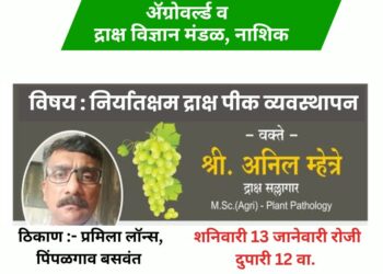 निर्यातक्षम द्राक्ष उत्पादन तंत्र अन् मंत्र द्राक्षगुरू अनिल म्हेत्रे यांच्याकडून मोफत शिकून घ्यायचेय का? तर मग पिंपळगाव बसवंत येथे सुरू असलेल्या ॲग्रोवर्ल्ड कृषी प्रदर्शनात
