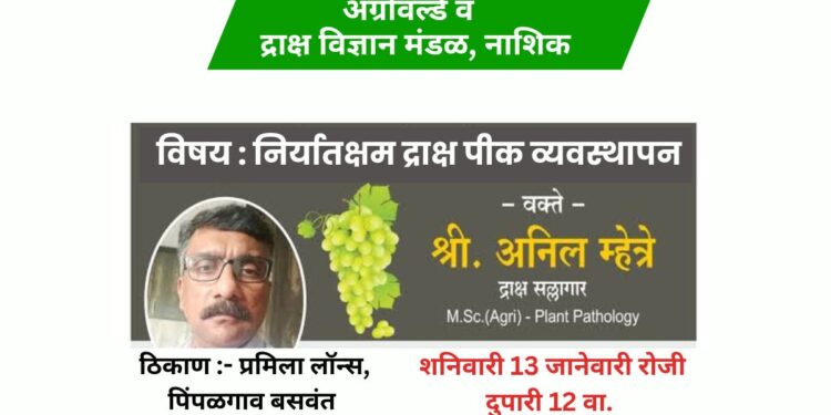 निर्यातक्षम द्राक्ष उत्पादन तंत्र अन् मंत्र द्राक्षगुरू अनिल म्हेत्रे यांच्याकडून मोफत शिकून घ्यायचेय का? तर मग पिंपळगाव बसवंत येथे सुरू असलेल्या ॲग्रोवर्ल्ड कृषी प्रदर्शनात