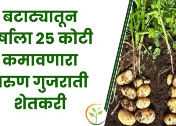बटाट्यातून वर्षाला 25 कोटी कमावणारा तरुण गुजराती शेतकरी