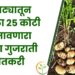 बटाट्यातून वर्षाला 25 कोटी कमावणारा तरुण गुजराती शेतकरी