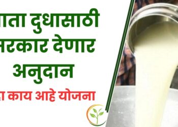 आता दुधासाठी सरकार देणार अनुदान