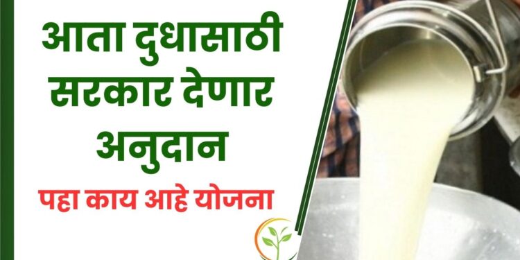 आता दुधासाठी सरकार देणार अनुदान