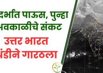 विदर्भात पाऊस