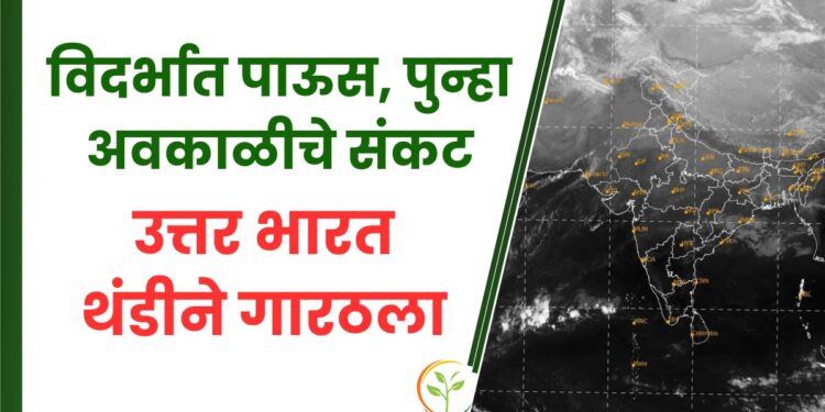 विदर्भात पाऊस