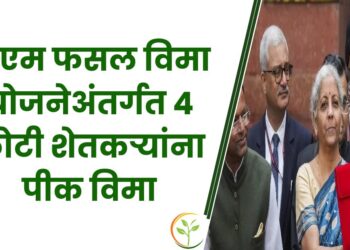 पीएम-किसान योजनेच्या 6,000 पेन्शन लाभात कोणतीही वाढ