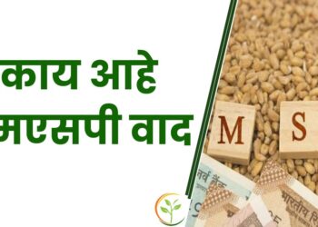 एमएसपी वाद