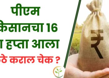 शेतकऱ्यांसाठी खुशखबर