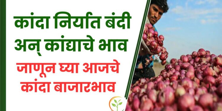 कांदा निर्यात बंदी