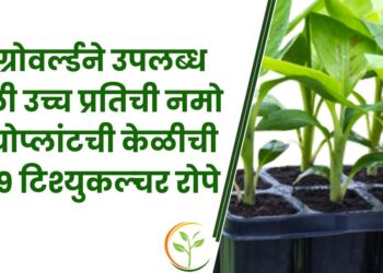 अ‍ॅग्रोवर्ल्ड