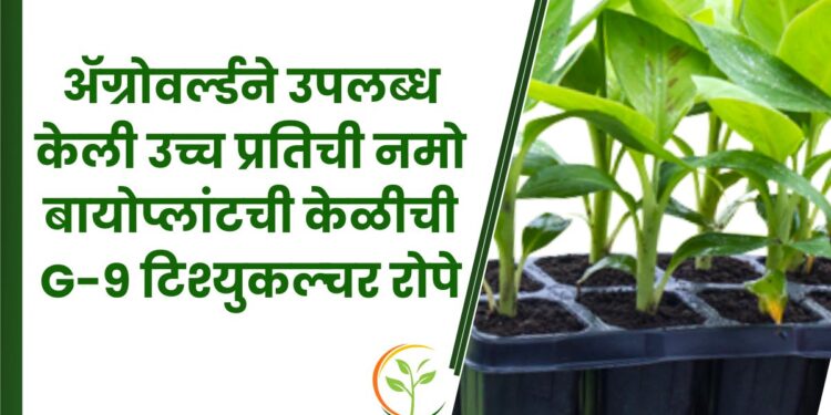 अ‍ॅग्रोवर्ल्ड