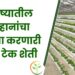 भविष्यातील आव्हानांचा सामना करणारी हाय- टेक शेती !