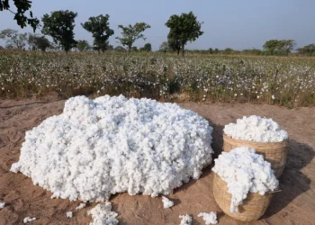 Indian Cotton Production