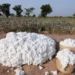 Indian Cotton Production
