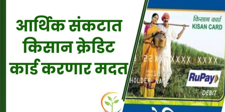 आर्थिक संकटात किसान क्रेडिट कार्ड करणार मदत ; जाणून घ्या.. काय आहे प्रक्रिया