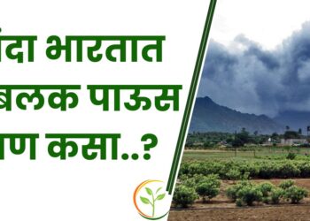 मान्सून गुड न्यूज