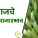 आजचे केळी बाजारभाव ; वाचा केळीला कुठे मिळाला सर्वाधिक भाव
