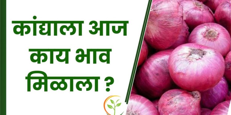 कांद्याला आज काय भाव मिळाला ?
