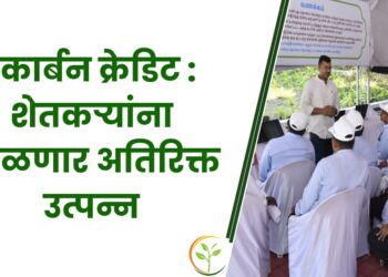 कार्बन क्रेडिट