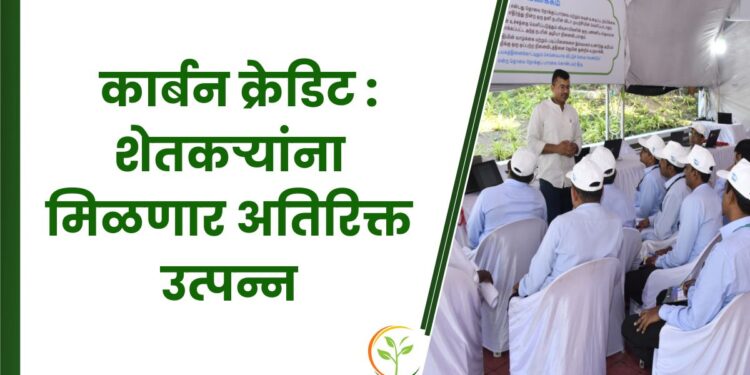 कार्बन क्रेडिट
