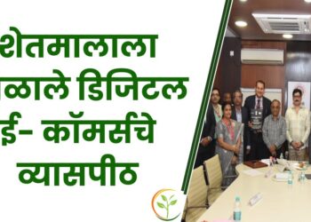 डिजिटल ई कॉमर्स