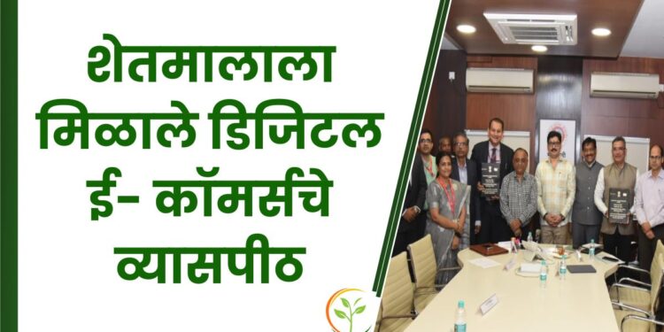 डिजिटल ई कॉमर्स