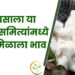 कापसाला या बाजार समित्यांमध्ये असा मिळाला भाव