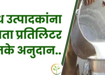 दूध उत्पादक