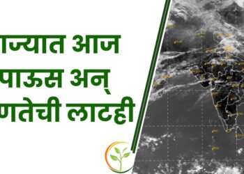 राज्यात आज पाऊस अन् उष्णतेची लाटही