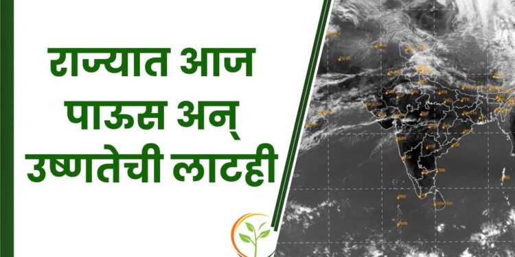 राज्यात आज पाऊस अन् उष्णतेची लाटही