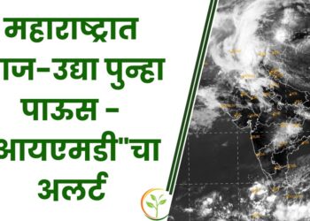महाराष्ट्रात आज-उद्या पुन्हा पाऊस