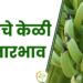 आजचे केळी बाजारभाव