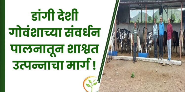 डांगी देशी गोवंशाच्या संवर्धन पालनातून शाश्वत उत्पन्नाचा मार्ग !