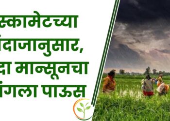 स्कायमेटच्या अंदाजानुसार, यंदा मान्सूनचा चांगला पाऊस