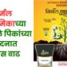 निर्मल रायझामिका