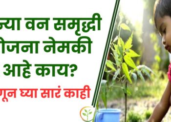 कन्या वन समृद्धी योजना