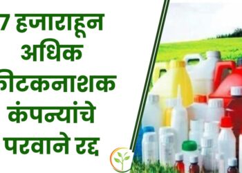 कीटकनाशक