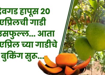 ॲग्रोवर्ल्ड - देवगड हापूस 20 एप्रिलची गाडी हाउसफुल्ल