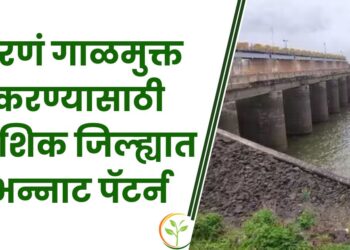 धरणं गाळमुक्त करण्यासाठी नाशिक जिल्ह्यात भन्नाट पॅटर्न