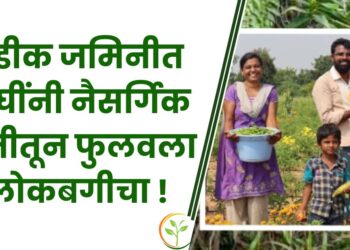 नैसर्गिक शेती