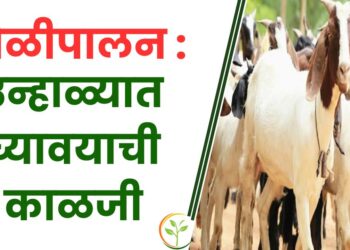 शेळीपालन