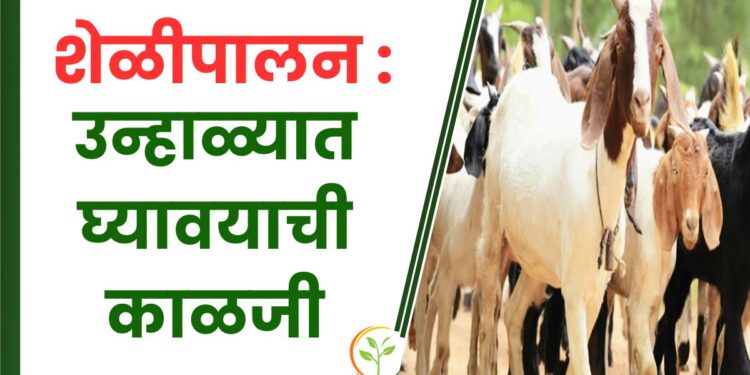 शेळीपालन