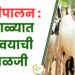 शेळीपालन