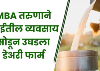 MBA तरुणाने दुबईतील व्यवसाय सोडून उघडला डेअरी फार्म ; आता कमावतो लाखो रुपये