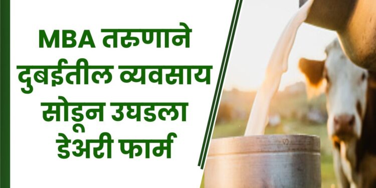 MBA तरुणाने दुबईतील व्यवसाय सोडून उघडला डेअरी फार्म ; आता कमावतो लाखो रुपये