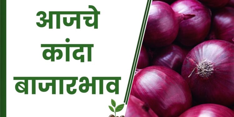 आजचे कांदा बाजारभाव