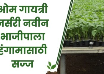 ओम गायत्री नर्सरी